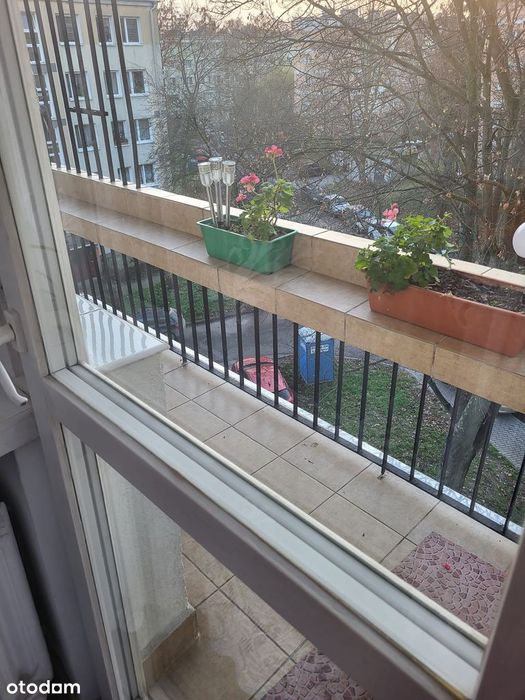 3-pokojowe mieszkanie z balkonem i piwnicą OKAZJA  | 47,2m2