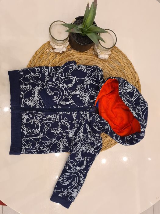 Bluza rozmiar 68 Lupilu