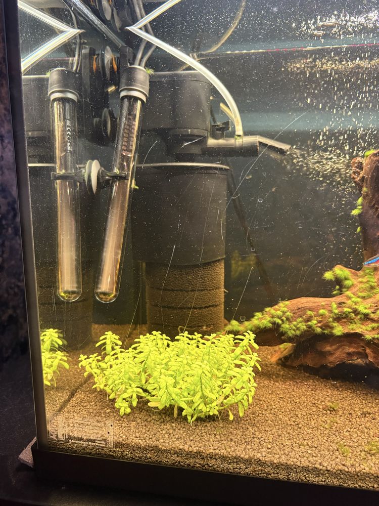 Akwarium Aquael 105L + ryby + szafka