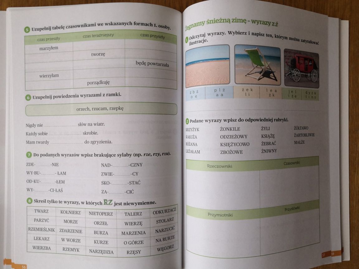 Ciekawi świata język polski ćwiczenia kl.4, Operon