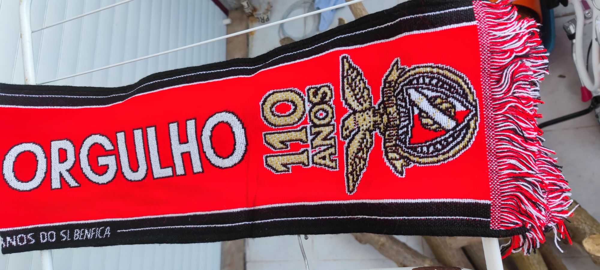 Cachecol Benfica 110 anos