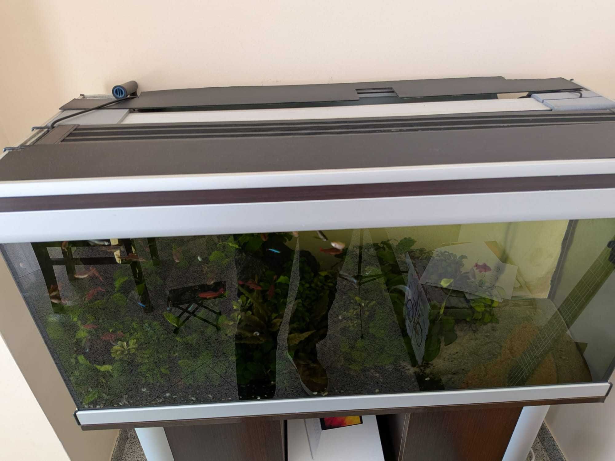 Aquário Aquatlantis 240L