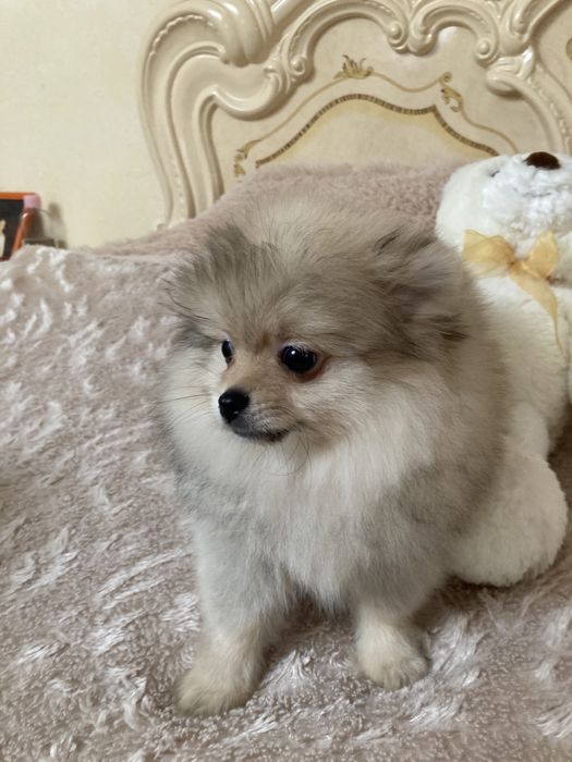 Супер мальчик пом