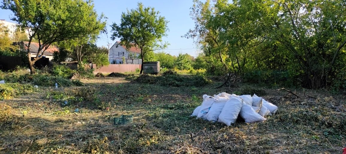 Удаление сложных деревьев. Услуги арбориста. Измельчение веток.