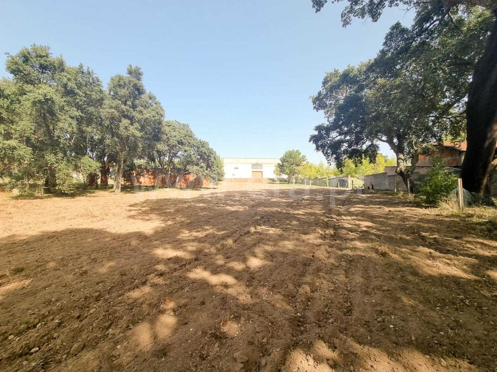 Terreno com 2.670m2