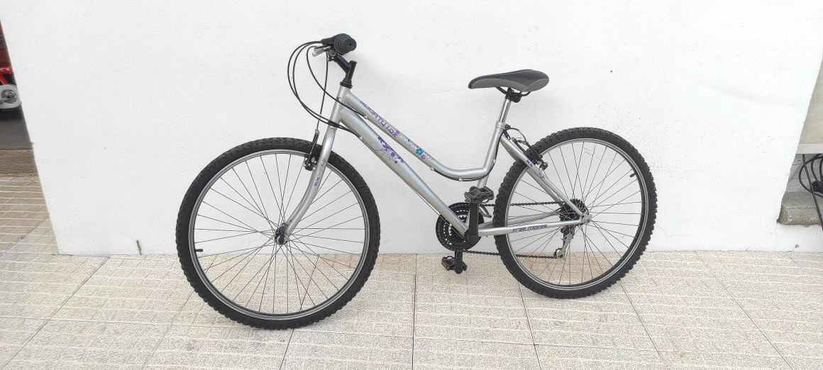 Conjunto de Bicicletas