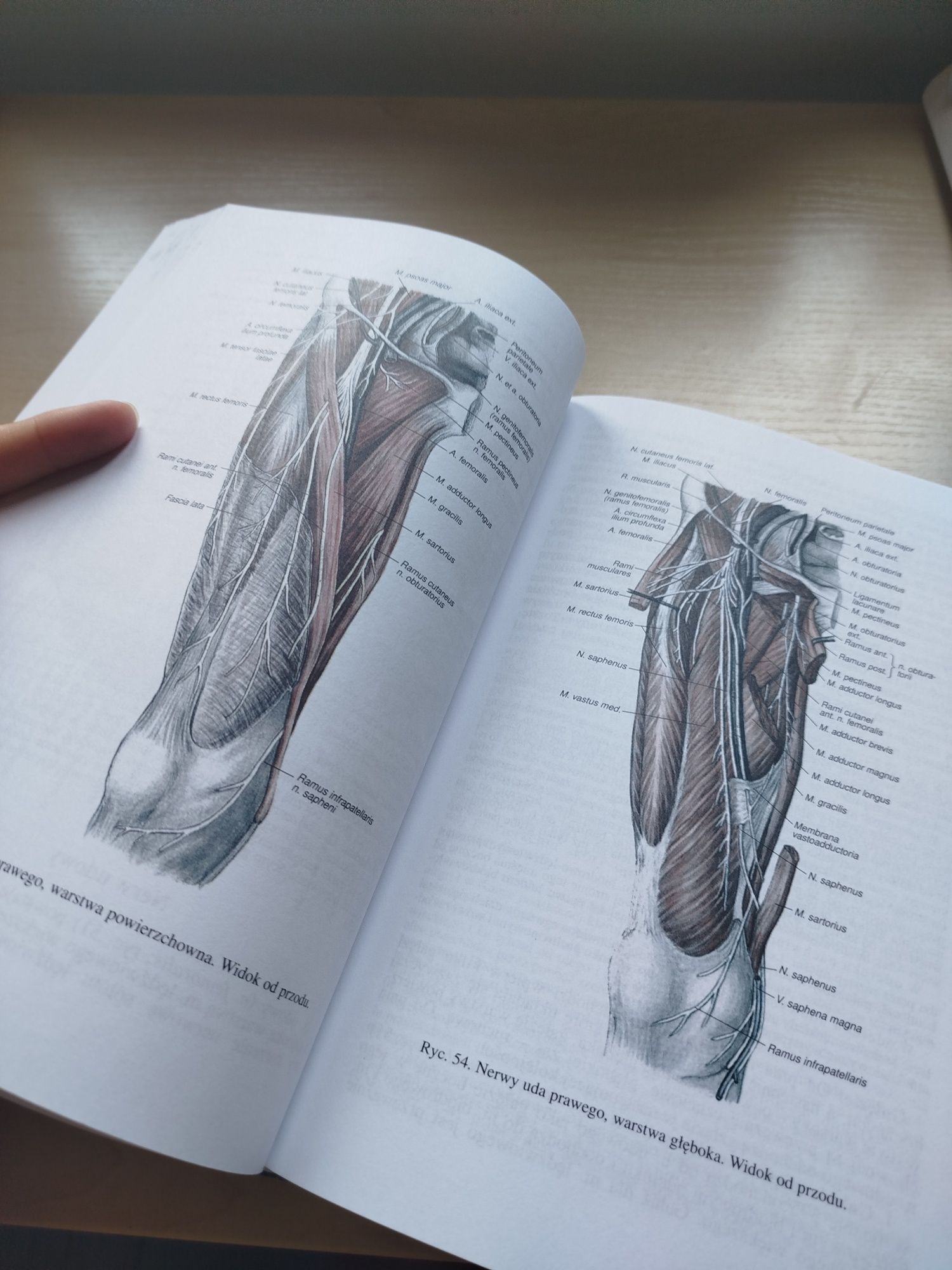 Anatomia Człowieka Bochenek tom 5
