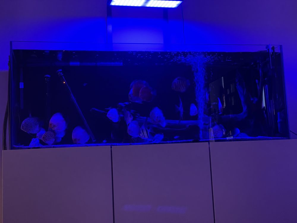 Calha Chihiros Vivid rgb aqurios