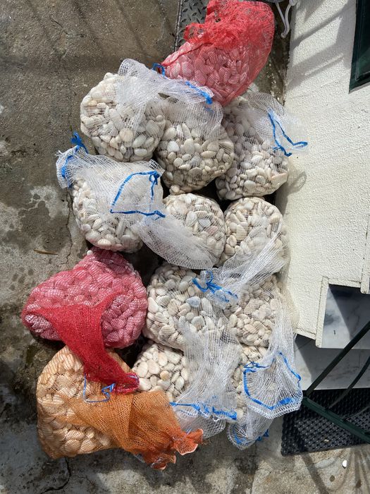 Seixo rolado - mármore branco