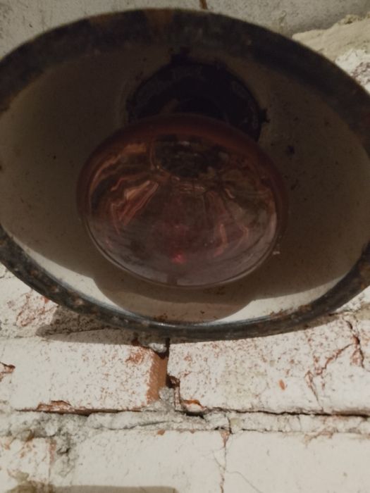 Ультрафіолетова лампа