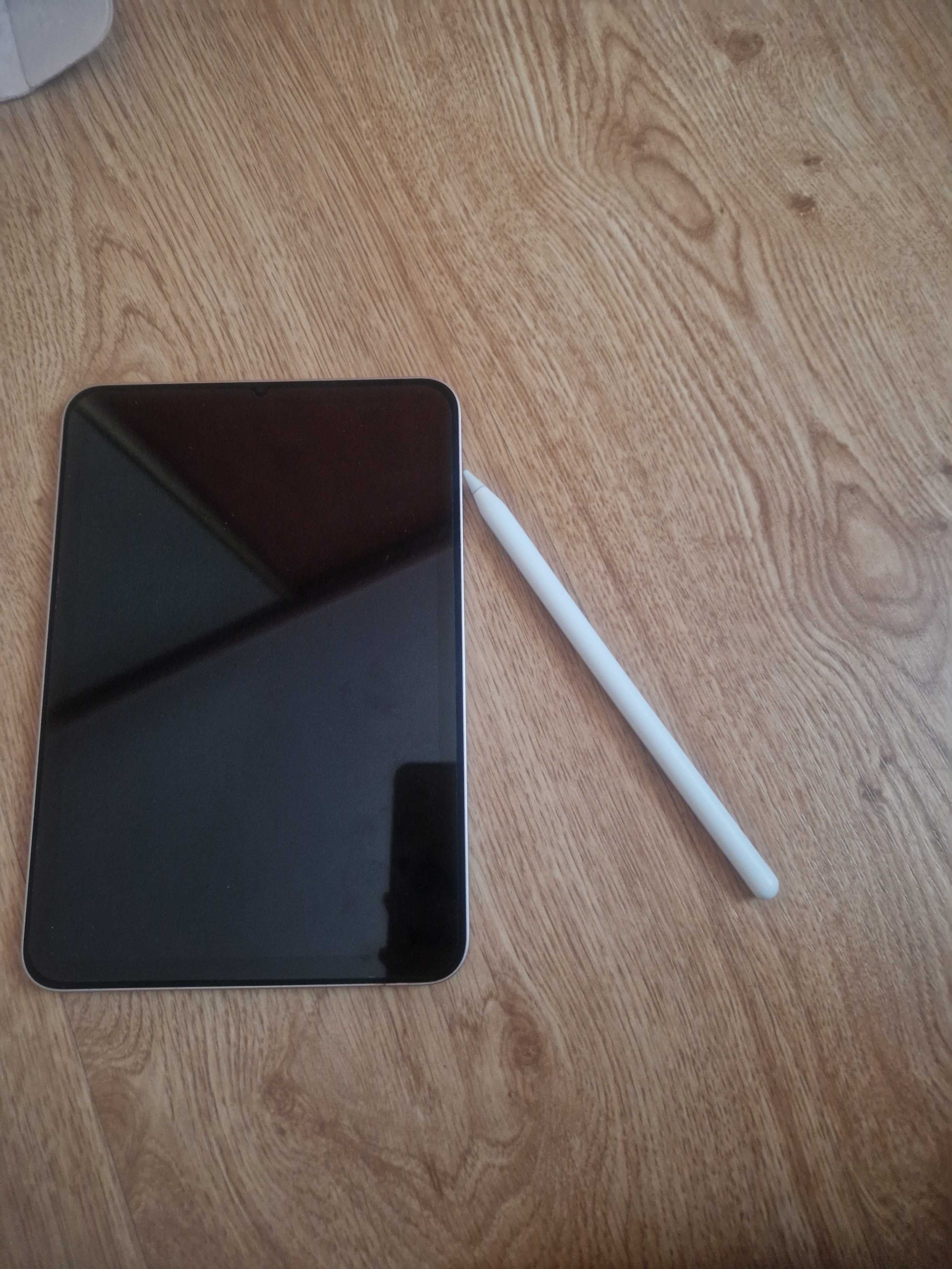 iPad mini 6th generation 256GB