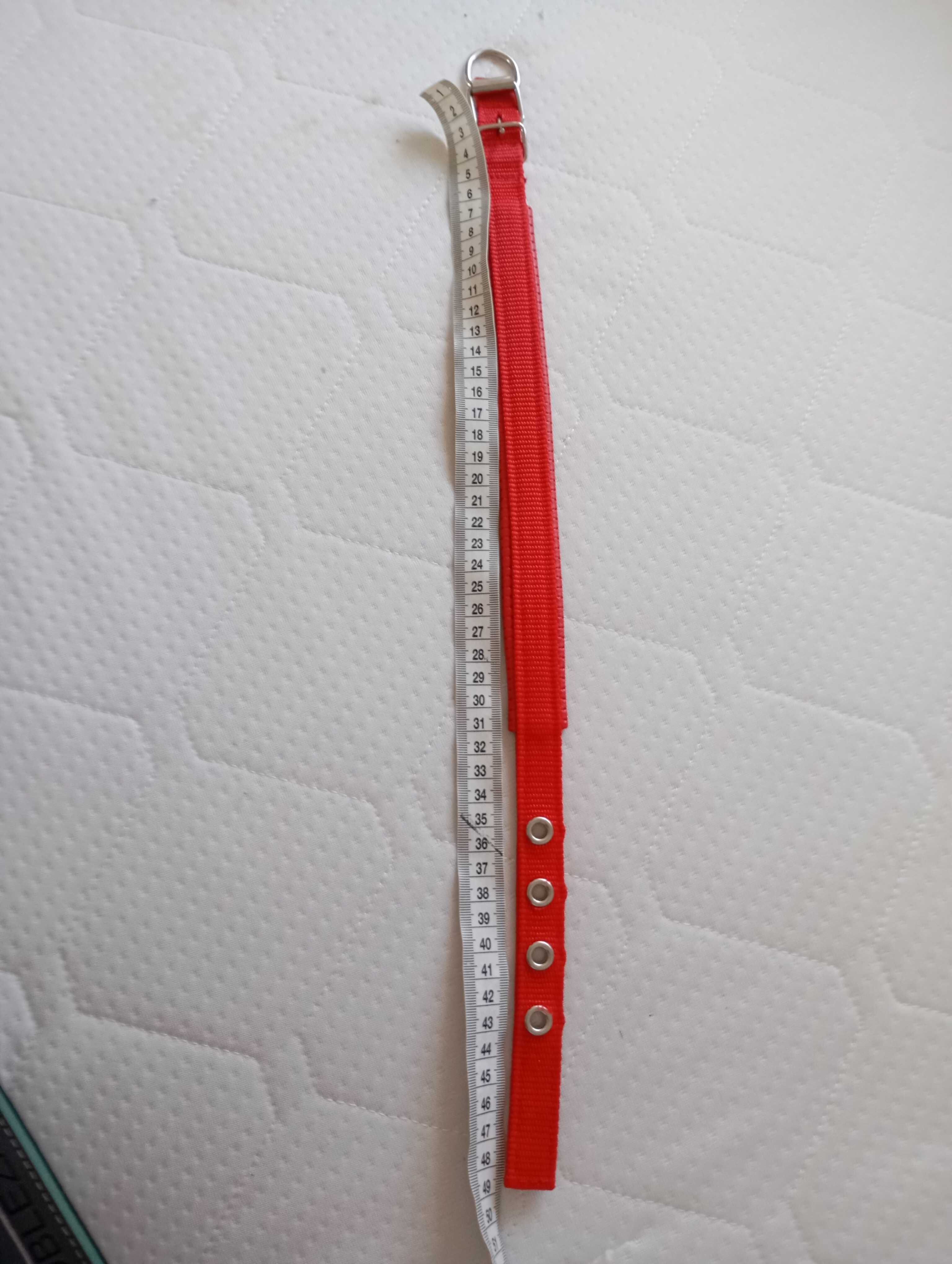 Obroża dla psa  35-42 cm