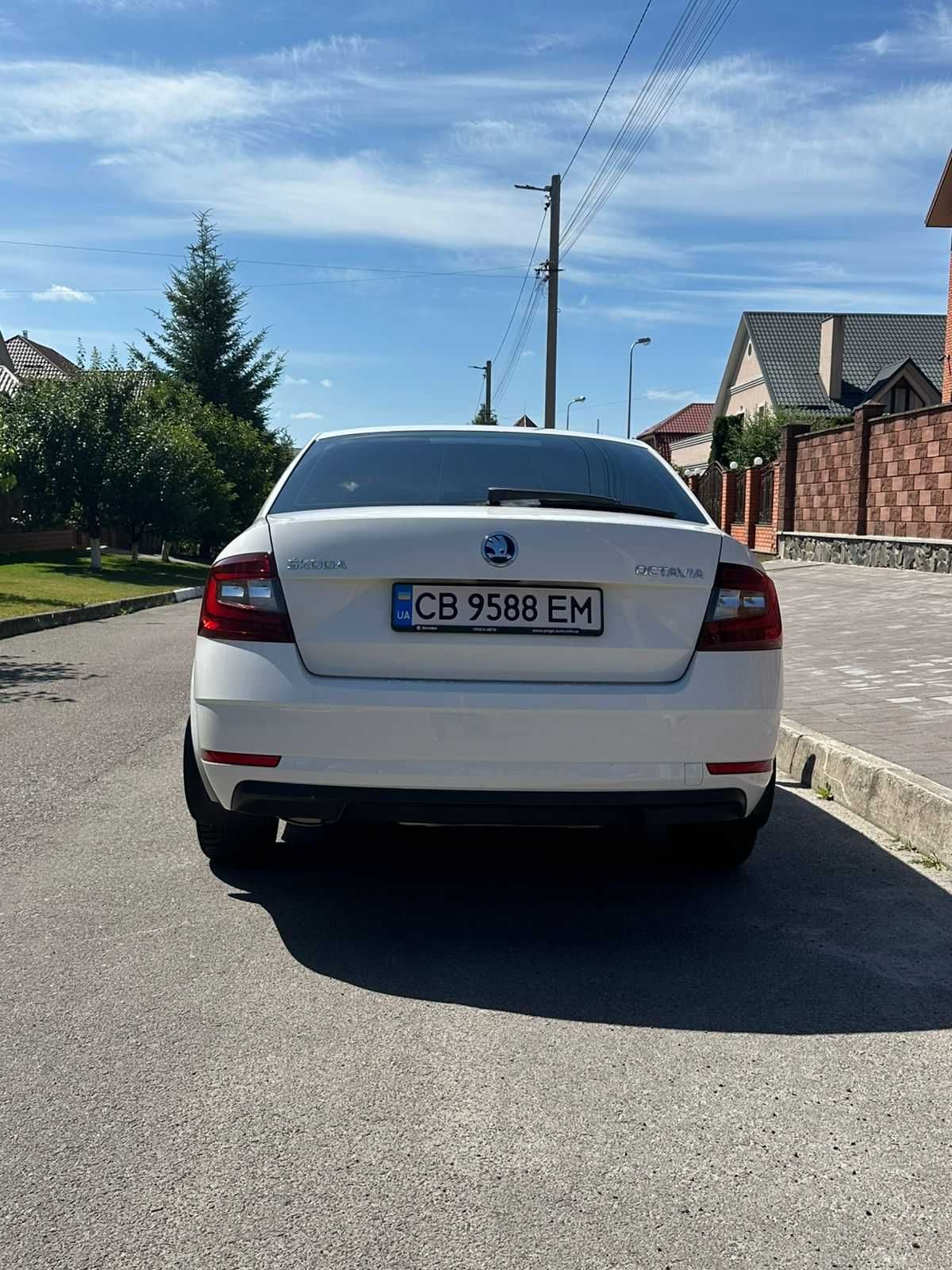 Продам Skoda Octavia 2019