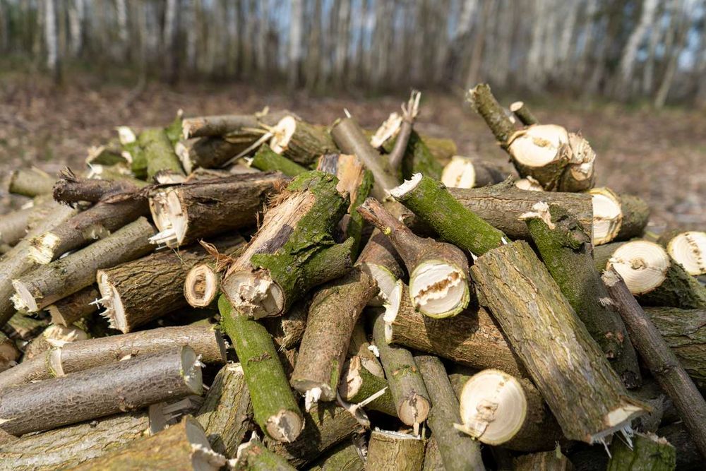 Rębak spalinowy REMET RPS-120 == rozdrabniacz spalinowy == POLSKA