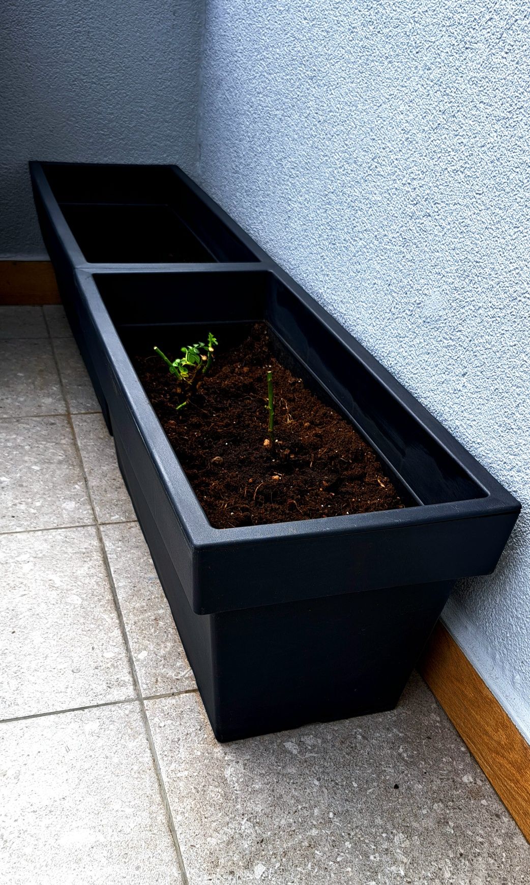Sprzedam donicę Lofly 80 cm