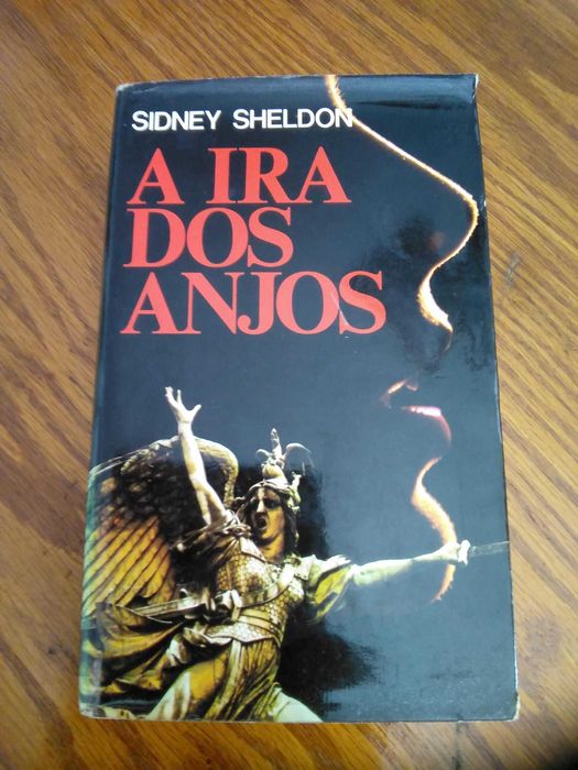 Livro - A ira dos anjos