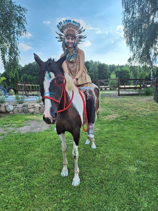 APH   1/2 APH KLACZ  155 cm