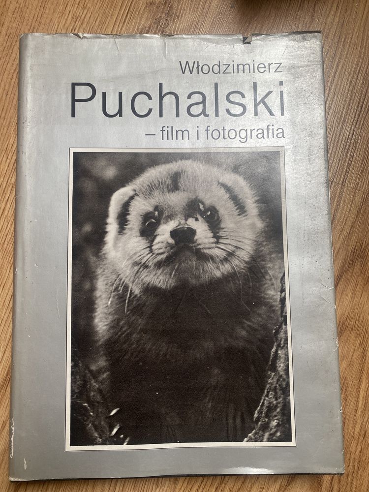 Puchalski Film i fotografia