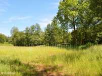 Terreno em Anais