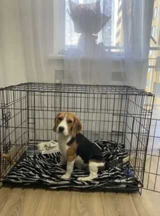 Нові клітка клетка X/S-XXL переноска манеж для собак кошек на виріст