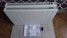 Grzejnik elektryczny Dimplex RCE 200 (2000 W)