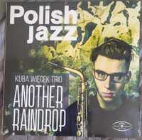 Kuba Więcek Trio - Another Raindrop. Folia.