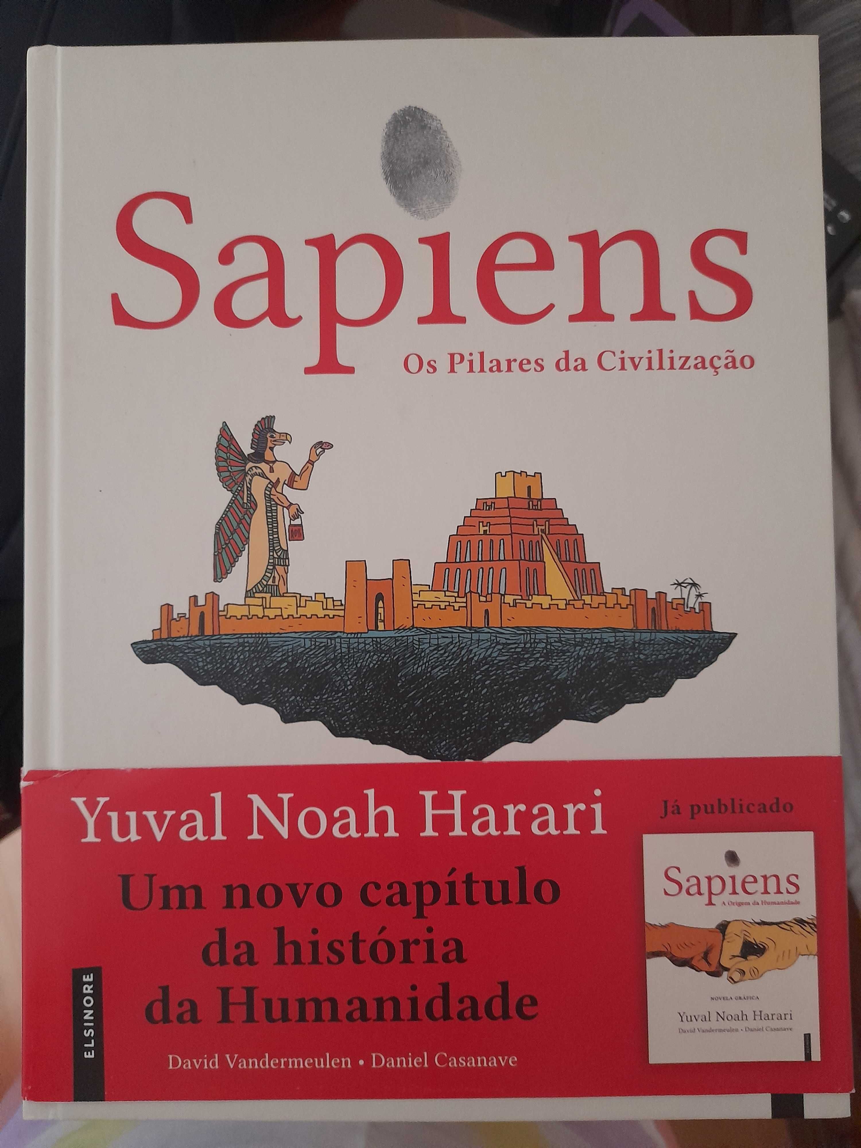 Sapiens - Os Pilares da Civilização - Novela Gráfica Vol. 2