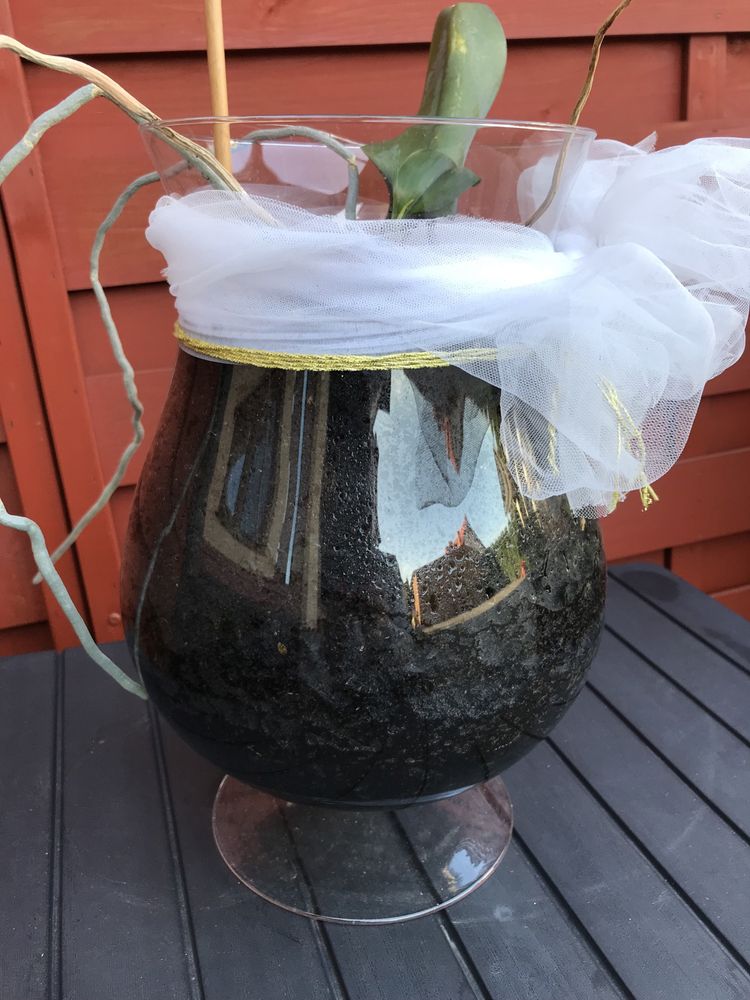 Sprzedam szklany kieich doniczka 31cm wysokosci