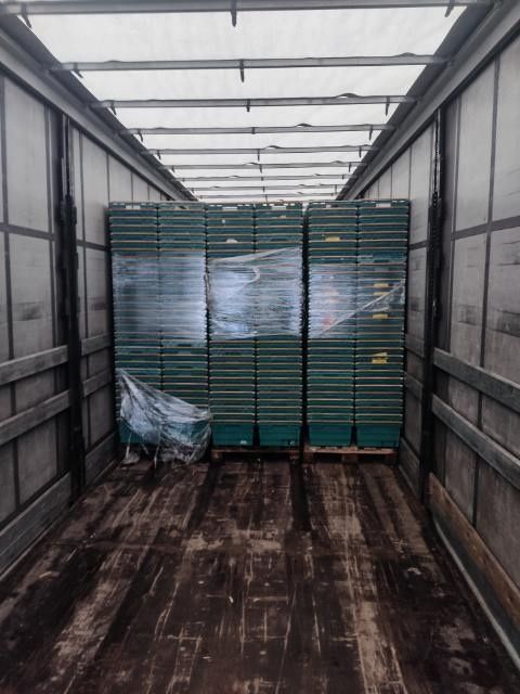 Pojemnik dużo skrzynka euro kosz box plastikowa transportowa magazyno