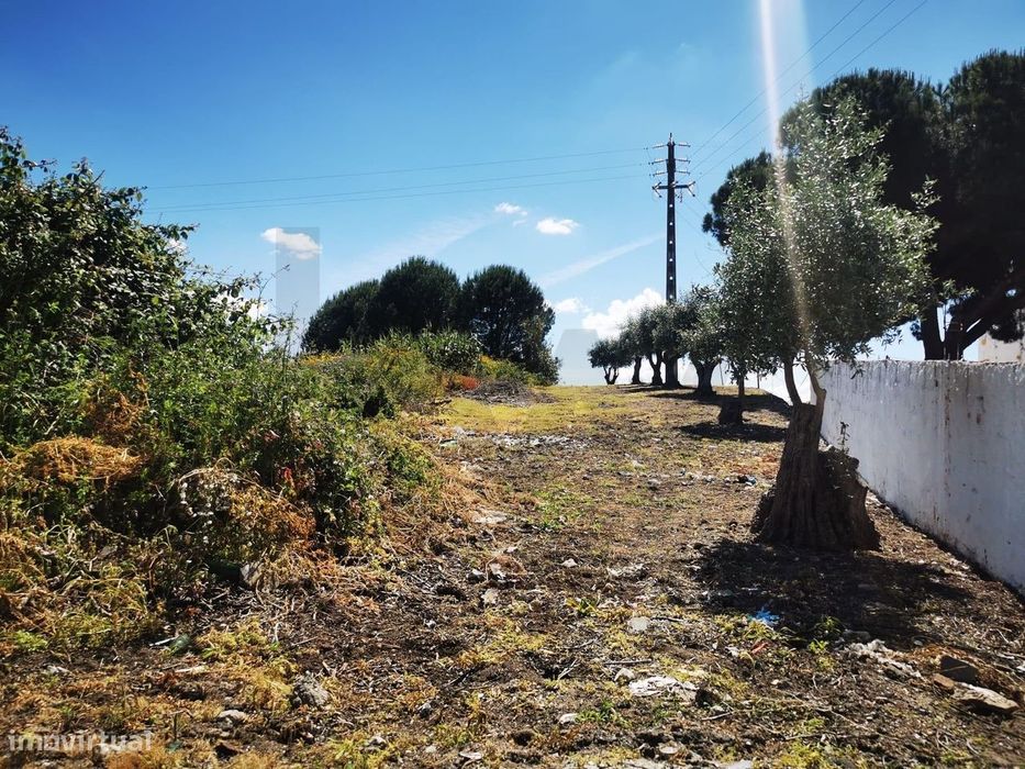 Terreno em Casal das Pratas - Cartaxo (Construção de Urbanização)