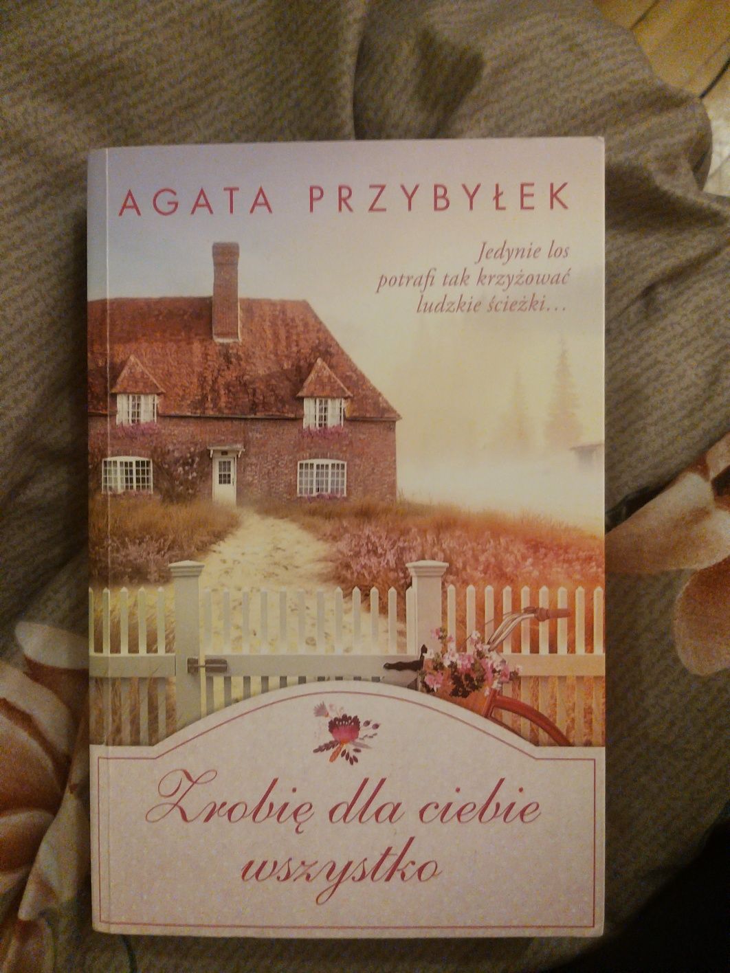 Zrobię dla Ciebie wszystko- Agata Przybyłek