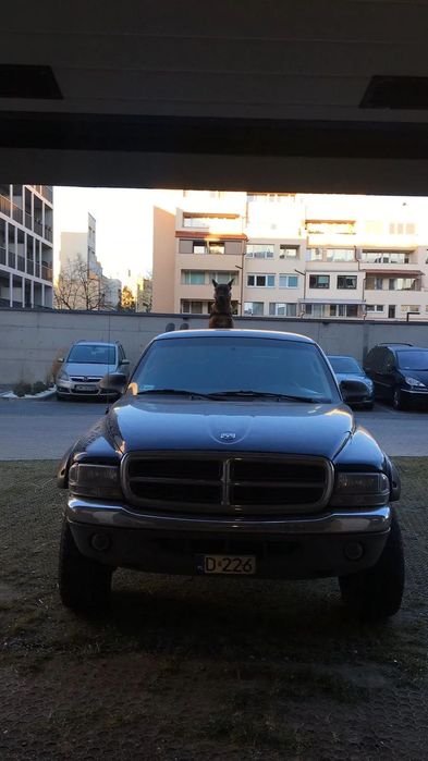 Dodge Dakota Dodge Dakota pickup - sprawny i pracujący