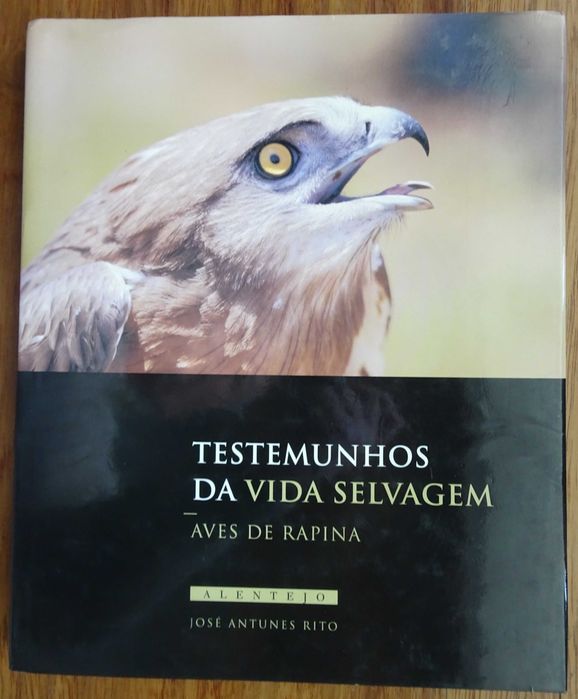 Testemunhos da Vida Selvagem - Aves de Rapina de José Antunes Rito