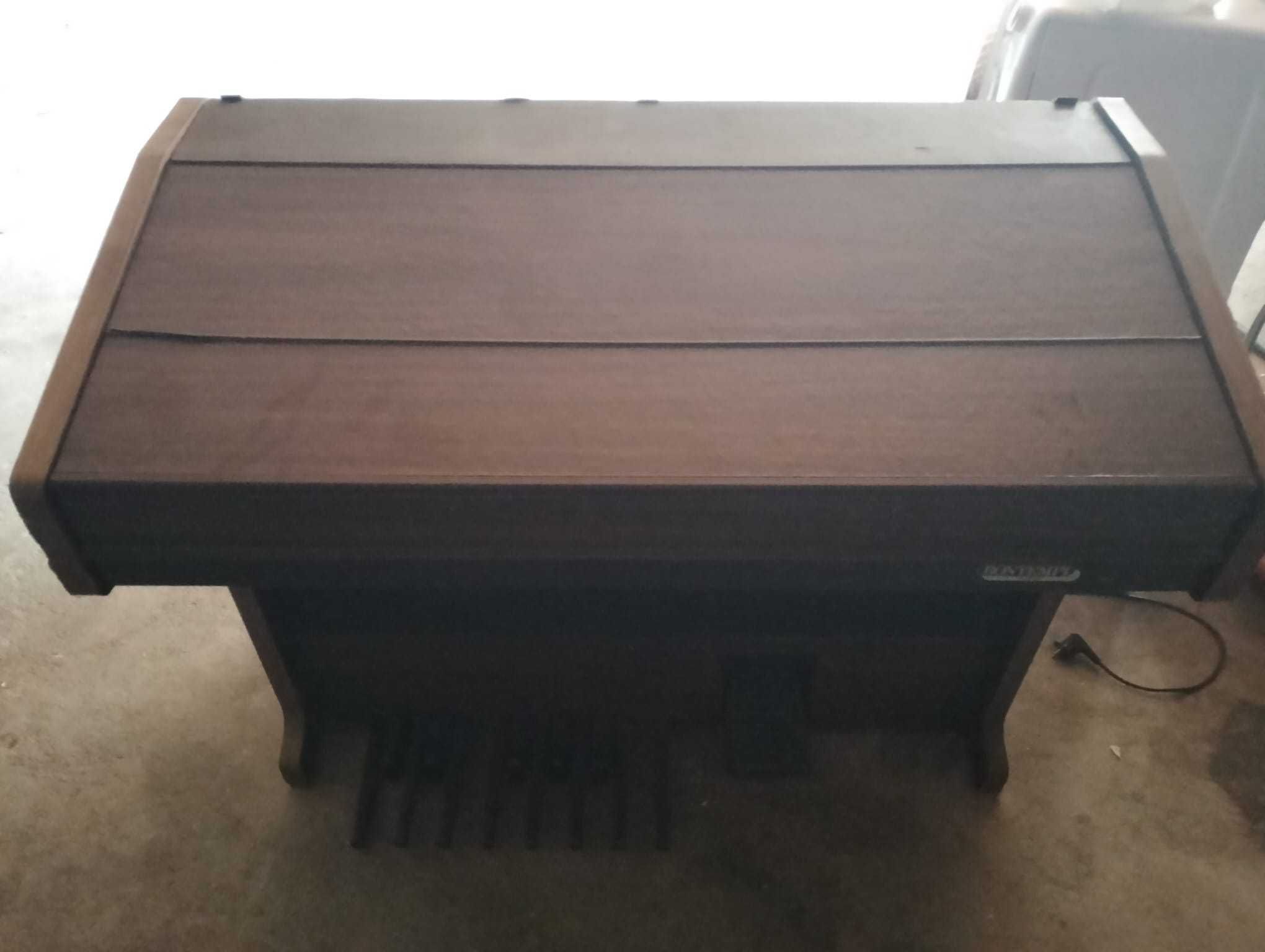 Orgao piano teclado