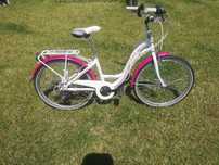 Rower Monteria 24cale