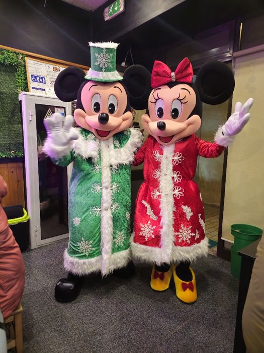 Presenca Mascote mickey e minnie