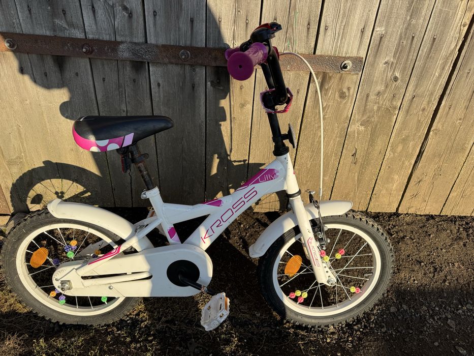 Rower Kross Lilly