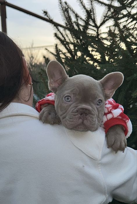 Новотипний міні хлопчик