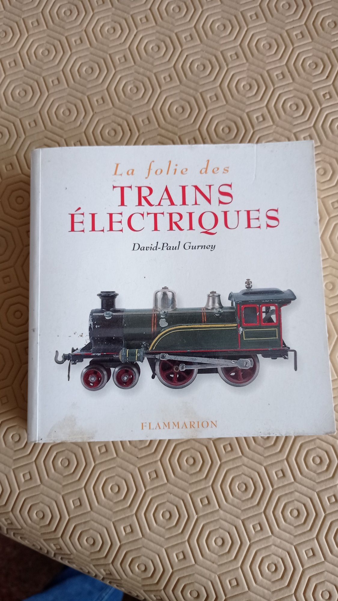 Livro sobre comboios