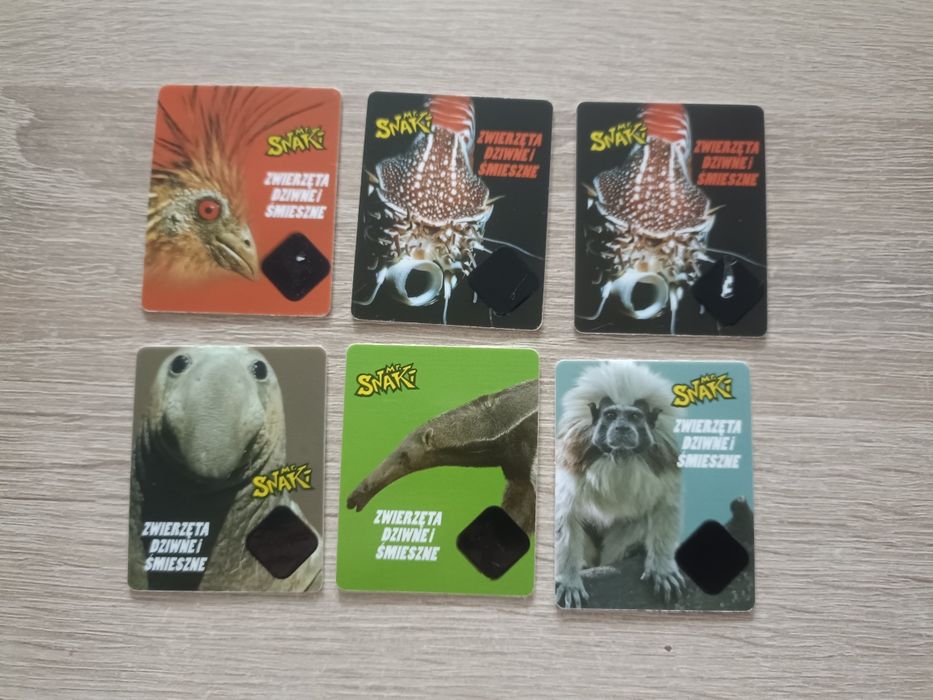 Karty Zwierzęta Dziwne i Śmieszne Mr. Snaki