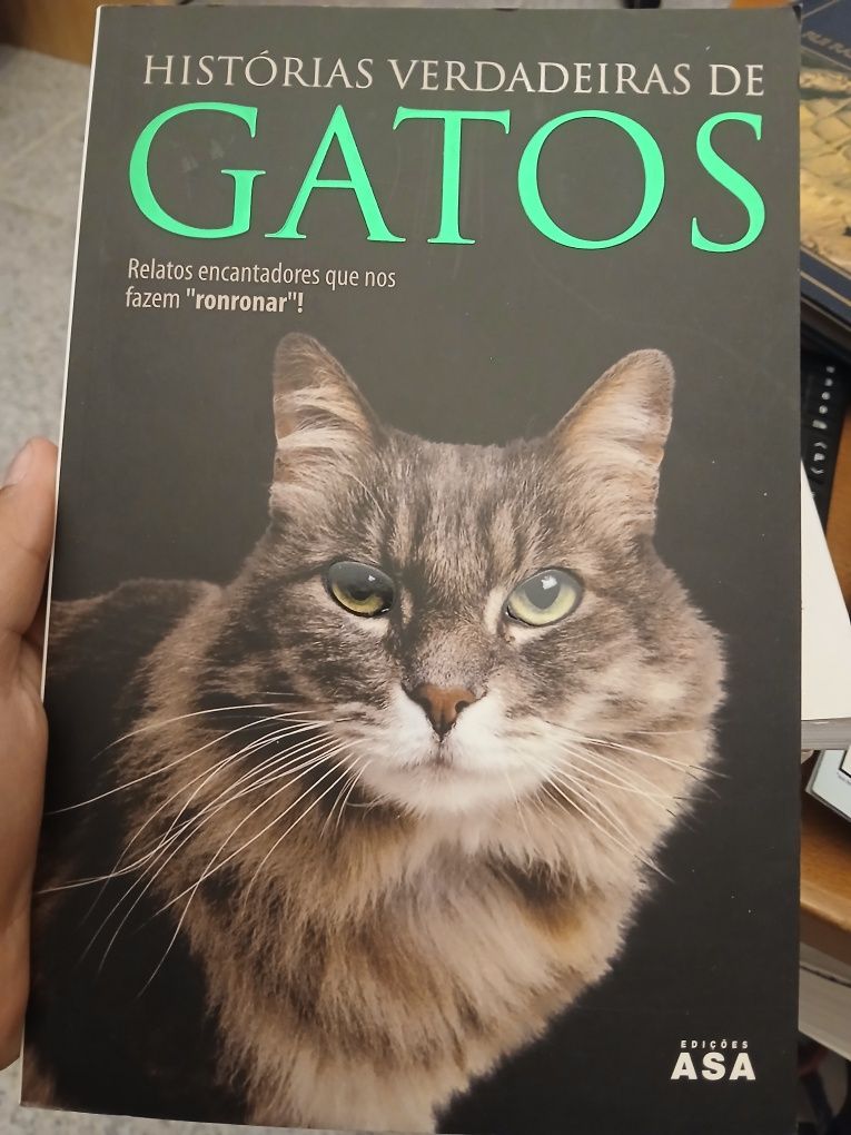 Histórias verdadeiras de gatos