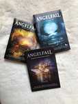 Angelfall Susan Ee