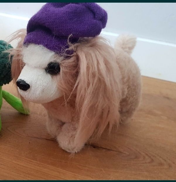 Śliczny piesek maskotka zwierzątko pupil pies pluszak PIES