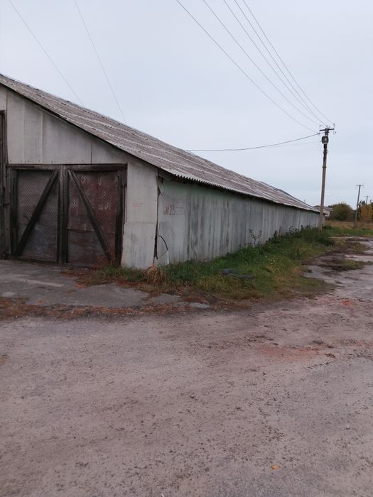 Склад в оренду (ангар)