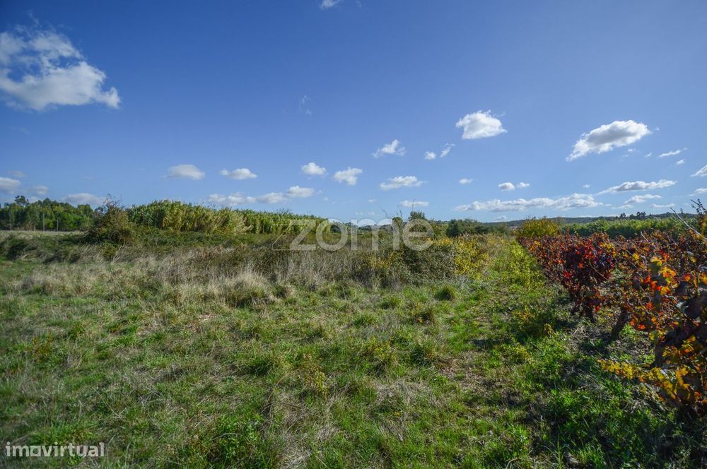 Terreno Pinhal, Alenquer