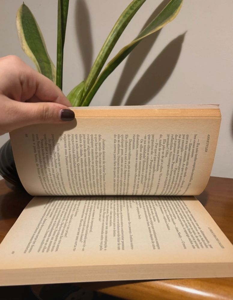 Livro a procura de caleb PORTES INCLUIDOS