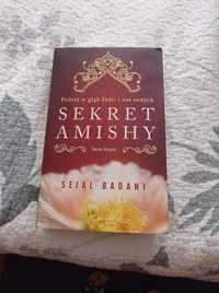Książka Sekret Amishy