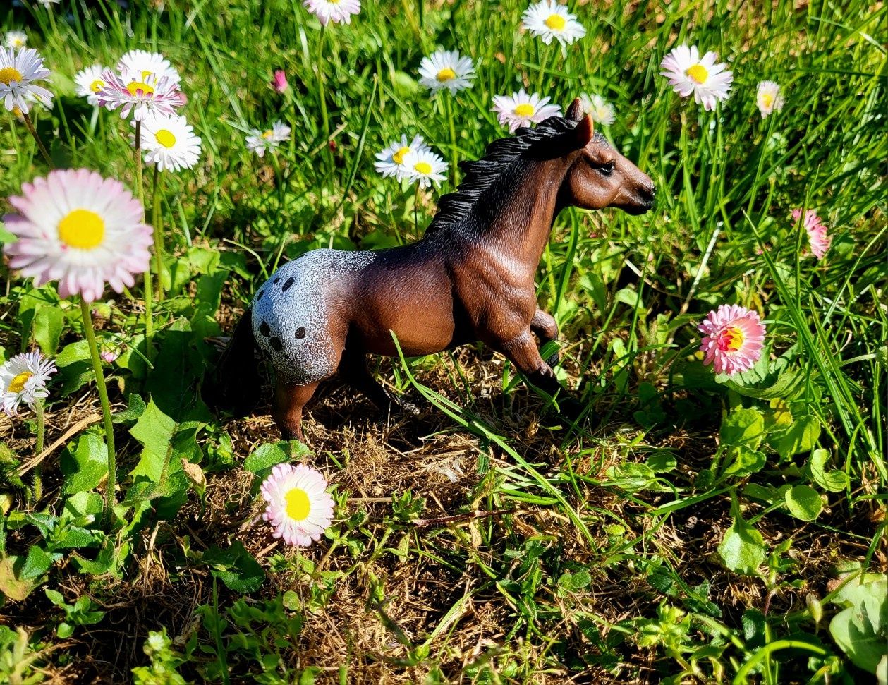 Model Schleich koń appaloosa