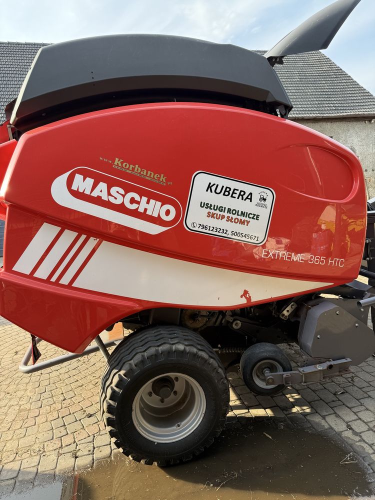 Sprzedam prase maschio extreme 365 HTC