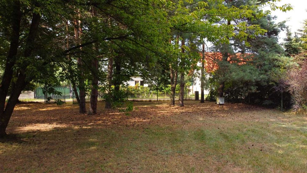 Dz. budowlana woda Borszewice gm. Łask tuż Łódź Pabianice Zduńska Wola